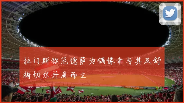 拉门斯称范德萨为偶像幸与其及舒梅切尔并肩而立