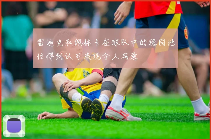 雷迪克和佩林卡在球队中的稳固地位得到认可表现令人满意