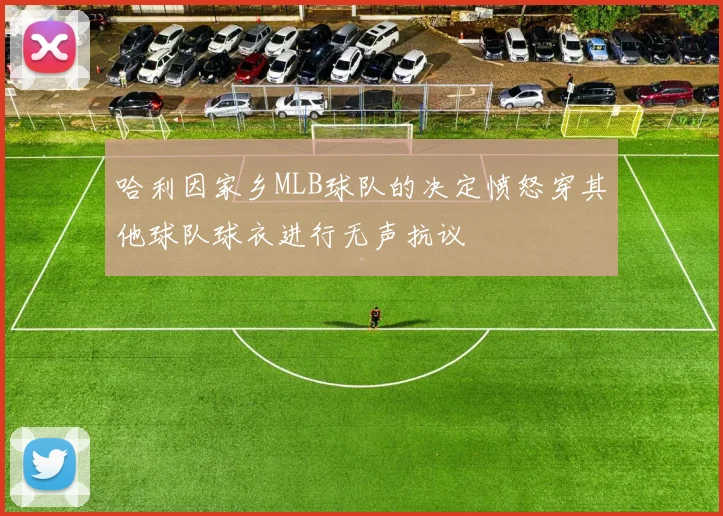 哈利因家乡MLB球队的决定愤怒穿其他球队球衣进行无声抗议